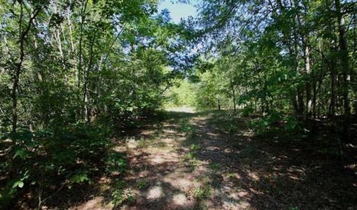 Photo of SOLD!!  36.5 Acres of Riverfront Hunting Land in Craven County NC!