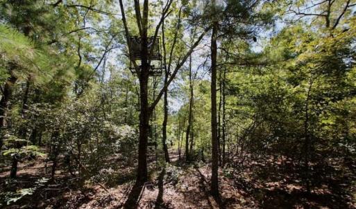 Photo of SOLD!!  36.5 Acres of Riverfront Hunting Land in Craven County NC!