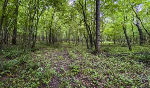 Photo of UNDER CONTRACT!!  123.19 +/- Acres of Farm and Recreational Land For Sale in Person County, NC!