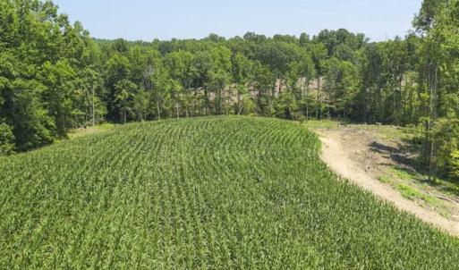Photo of UNDER CONTRACT!!  123.19 +/- Acres of Farm and Recreational Land For Sale in Person County, NC!