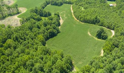 Photo of UNDER CONTRACT!!  123.19 +/- Acres of Farm and Recreational Land For Sale in Person County, NC!