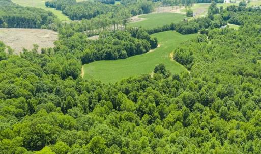 Photo of UNDER CONTRACT!!  123.19 +/- Acres of Farm and Recreational Land For Sale in Person County, NC!