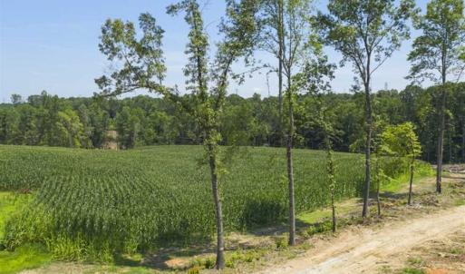 Photo of UNDER CONTRACT!!  123.19 +/- Acres of Farm and Recreational Land For Sale in Person County, NC!