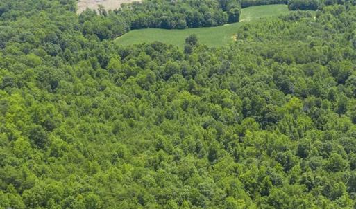 Photo of UNDER CONTRACT!!  123.19 +/- Acres of Farm and Recreational Land For Sale in Person County, NC!