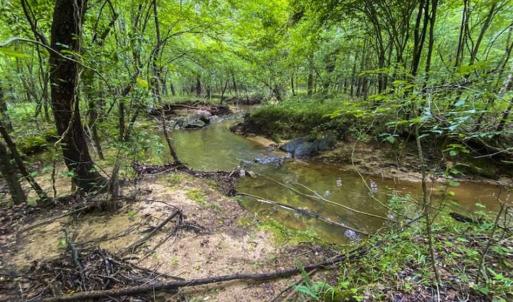 Photo of UNDER CONTRACT!!  123.19 +/- Acres of Farm and Recreational Land For Sale in Person County, NC!