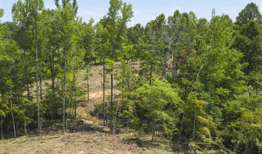 Photo of UNDER CONTRACT!!  123.19 +/- Acres of Farm and Recreational Land For Sale in Person County, NC!