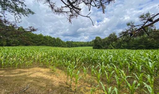 Photo of UNDER CONTRACT!!  123.19 +/- Acres of Farm and Recreational Land For Sale in Person County, NC!
