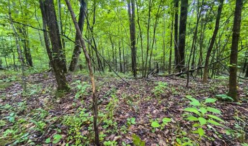 Photo of UNDER CONTRACT!!  123.19 +/- Acres of Farm and Recreational Land For Sale in Person County, NC!