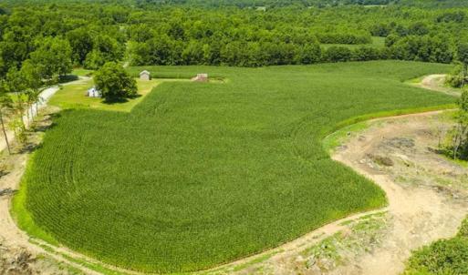 Photo of UNDER CONTRACT!!  123.19 +/- Acres of Farm and Recreational Land For Sale in Person County, NC!