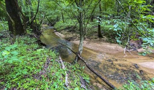 Photo of UNDER CONTRACT!!  123.19 +/- Acres of Farm and Recreational Land For Sale in Person County, NC!