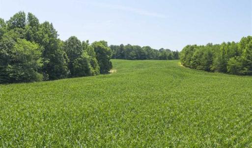 Photo of UNDER CONTRACT!!  123.19 +/- Acres of Farm and Recreational Land For Sale in Person County, NC!