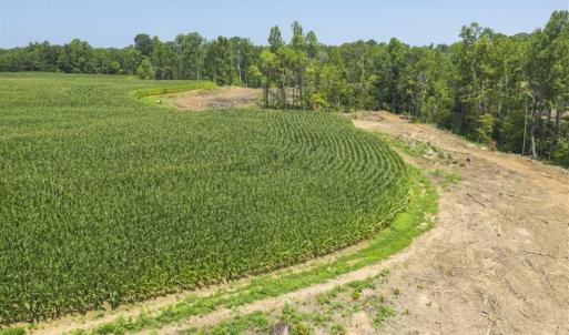 Photo of UNDER CONTRACT!!  123.19 +/- Acres of Farm and Recreational Land For Sale in Person County, NC!