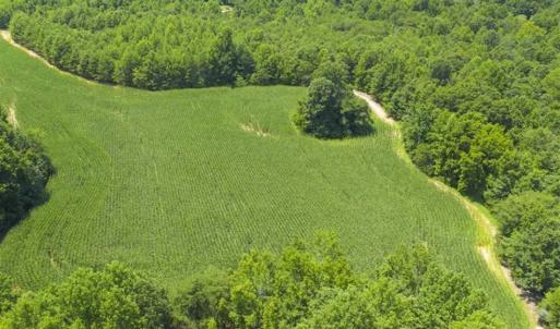 Photo of UNDER CONTRACT!!  123.19 +/- Acres of Farm and Recreational Land For Sale in Person County, NC!