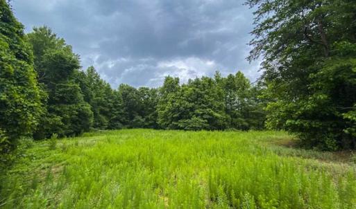 Photo of UNDER CONTRACT!!  123.19 +/- Acres of Farm and Recreational Land For Sale in Person County, NC!