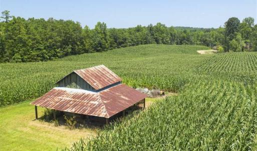 Photo of UNDER CONTRACT!!  123.19 +/- Acres of Farm and Recreational Land For Sale in Person County, NC!
