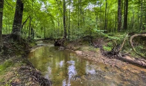 Photo of UNDER CONTRACT!!  123.19 +/- Acres of Farm and Recreational Land For Sale in Person County, NC!