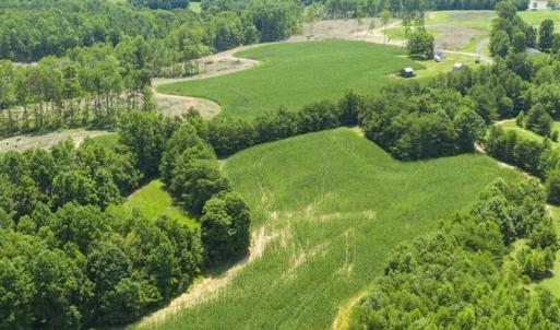 Photo of UNDER CONTRACT!!  123.19 +/- Acres of Farm and Recreational Land For Sale in Person County, NC!