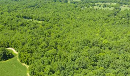 Photo of UNDER CONTRACT!!  123.19 +/- Acres of Farm and Recreational Land For Sale in Person County, NC!