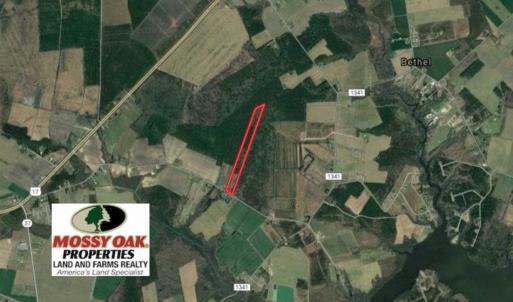 Photo of SOLD!!  21 Acres of Hunting and Timber Land For Sale in Perquimans County NC!