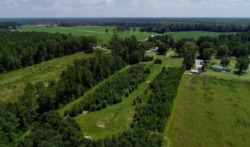Photo of SOLD!!  21 Acres of Hunting and Timber Land For Sale in Perquimans County NC!