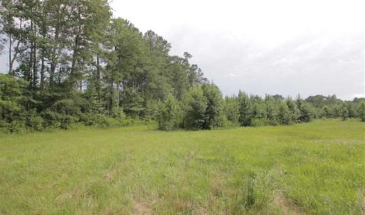 Photo of SOLD!!  21 Acres of Hunting and Timber Land For Sale in Perquimans County NC!
