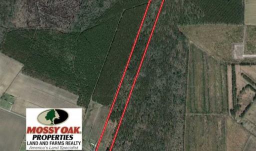 Photo of SOLD!!  21 Acres of Hunting and Timber Land For Sale in Perquimans County NC!