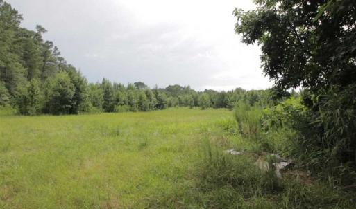 Photo of SOLD!!  21 Acres of Hunting and Timber Land For Sale in Perquimans County NC!