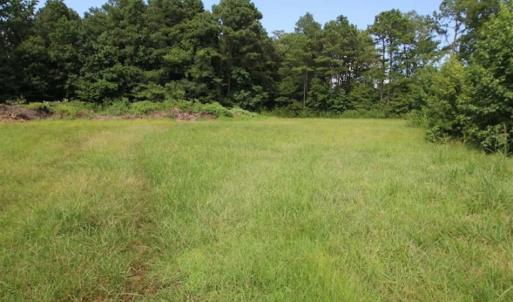Photo of SOLD!!  21 Acres of Hunting and Timber Land For Sale in Perquimans County NC!