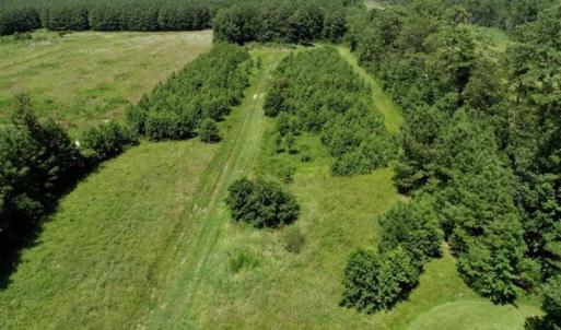 Photo of SOLD!!  21 Acres of Hunting and Timber Land For Sale in Perquimans County NC!