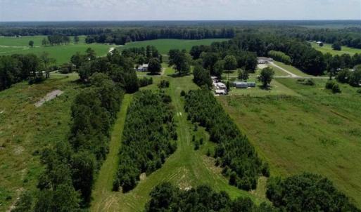Photo of SOLD!!  21 Acres of Hunting and Timber Land For Sale in Perquimans County NC!