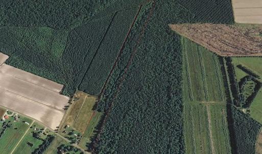 Photo of SOLD!!  21 Acres of Hunting and Timber Land For Sale in Perquimans County NC!