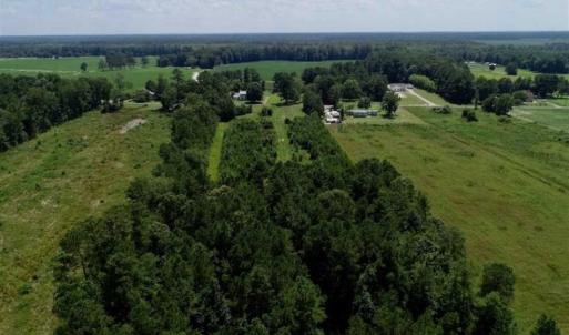 Photo of SOLD!!  21 Acres of Hunting and Timber Land For Sale in Perquimans County NC!