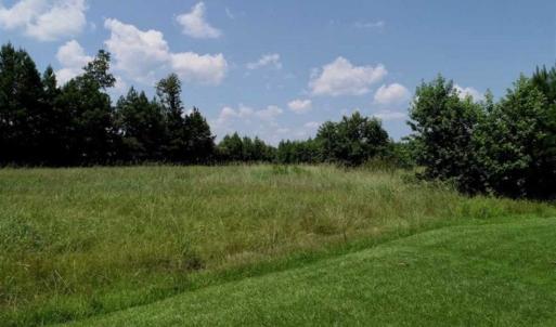 Photo of SOLD!!  21 Acres of Hunting and Timber Land For Sale in Perquimans County NC!