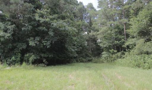 Photo of SOLD!!  21 Acres of Hunting and Timber Land For Sale in Perquimans County NC!