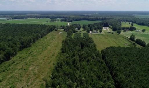 Photo of SOLD!!  21 Acres of Hunting and Timber Land For Sale in Perquimans County NC!