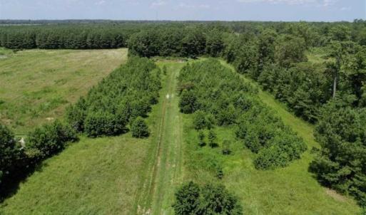 Photo of SOLD!!  21 Acres of Hunting and Timber Land For Sale in Perquimans County NC!