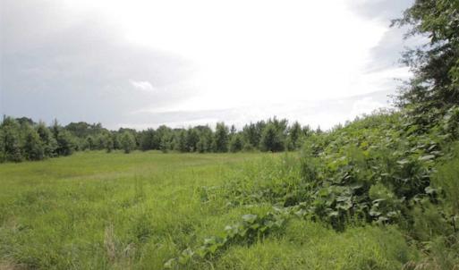 Photo of SOLD!!  21 Acres of Hunting and Timber Land For Sale in Perquimans County NC!