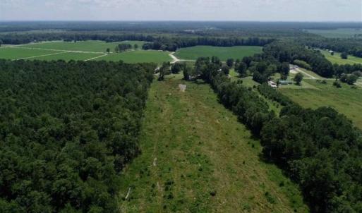 Photo of SOLD!!  23 Acres Hunting and Timber Land For Sale in Perquimans County NC!