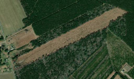 Photo of SOLD!!  23 Acres Hunting and Timber Land For Sale in Perquimans County NC!