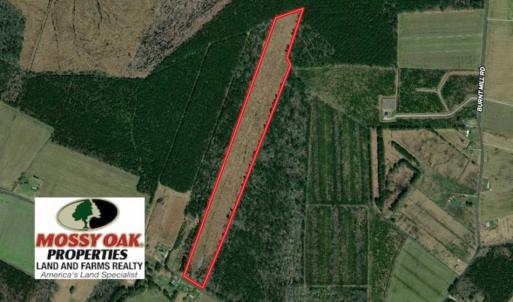 Photo of SOLD!!  23 Acres Hunting and Timber Land For Sale in Perquimans County NC!