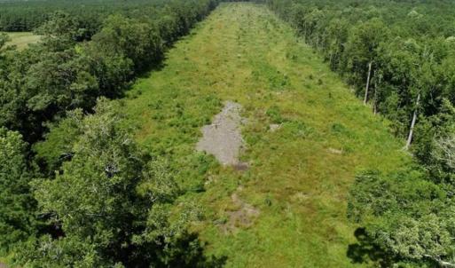 Photo of SOLD!!  23 Acres Hunting and Timber Land For Sale in Perquimans County NC!