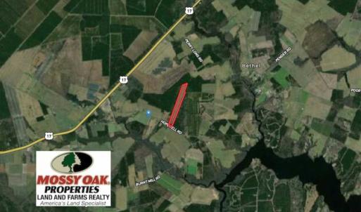 Photo of SOLD!!  23 Acres Hunting and Timber Land For Sale in Perquimans County NC!