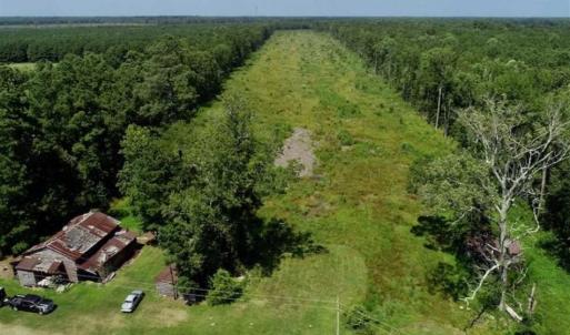 Photo of SOLD!!  23 Acres Hunting and Timber Land For Sale in Perquimans County NC!