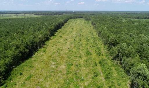 Photo of SOLD!!  23 Acres Hunting and Timber Land For Sale in Perquimans County NC!