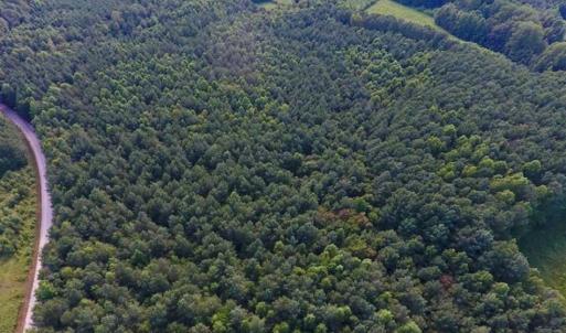 Photo of SOLD!!  65.24 Acres of Timber and Hunting Land For Sale in Nash County NC!