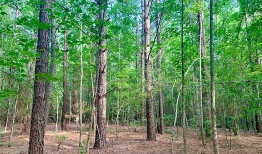 Photo of SOLD!!  65.24 Acres of Timber and Hunting Land For Sale in Nash County NC!