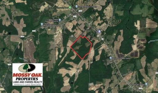 Photo of SOLD!!  65.24 Acres of Timber and Hunting Land For Sale in Nash County NC!