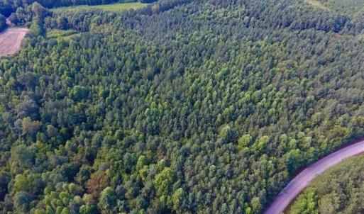 Photo of SOLD!!  65.24 Acres of Timber and Hunting Land For Sale in Nash County NC!