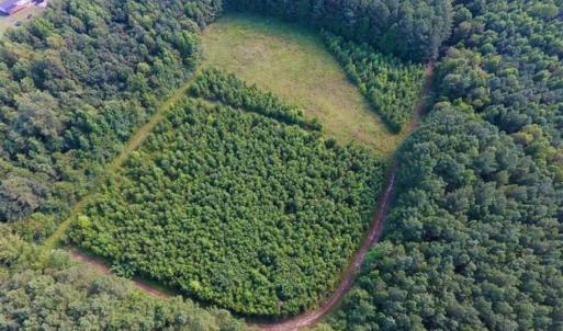 Photo of SOLD!!  65.24 Acres of Timber and Hunting Land For Sale in Nash County NC!
