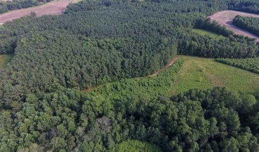Photo of SOLD!!  65.24 Acres of Timber and Hunting Land For Sale in Nash County NC!